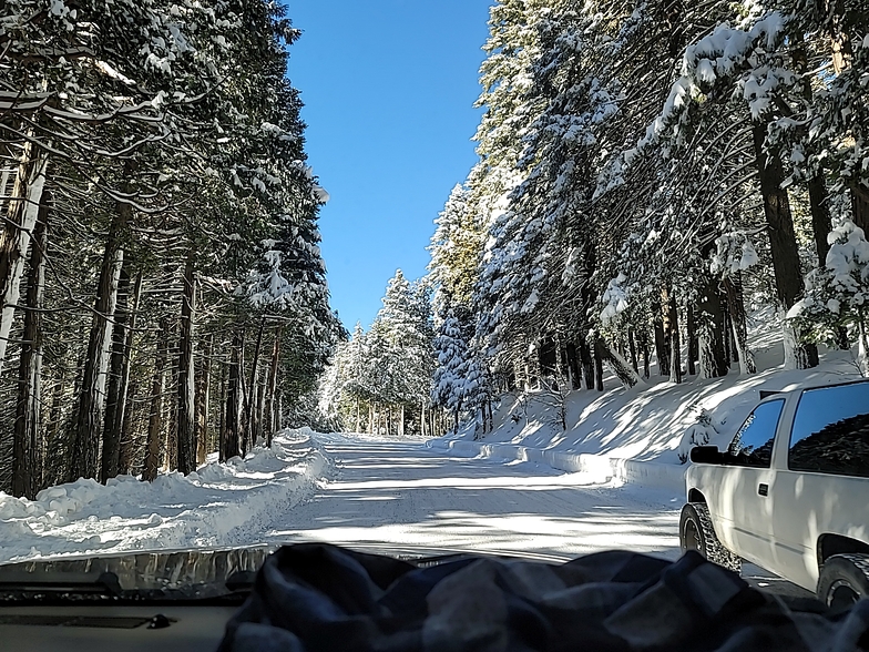 Alta Sierra at Shirley Meadows snow