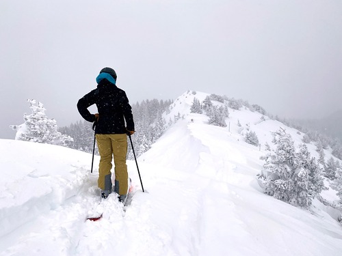 Taos Ski Resort by: Snow Forecast Admin