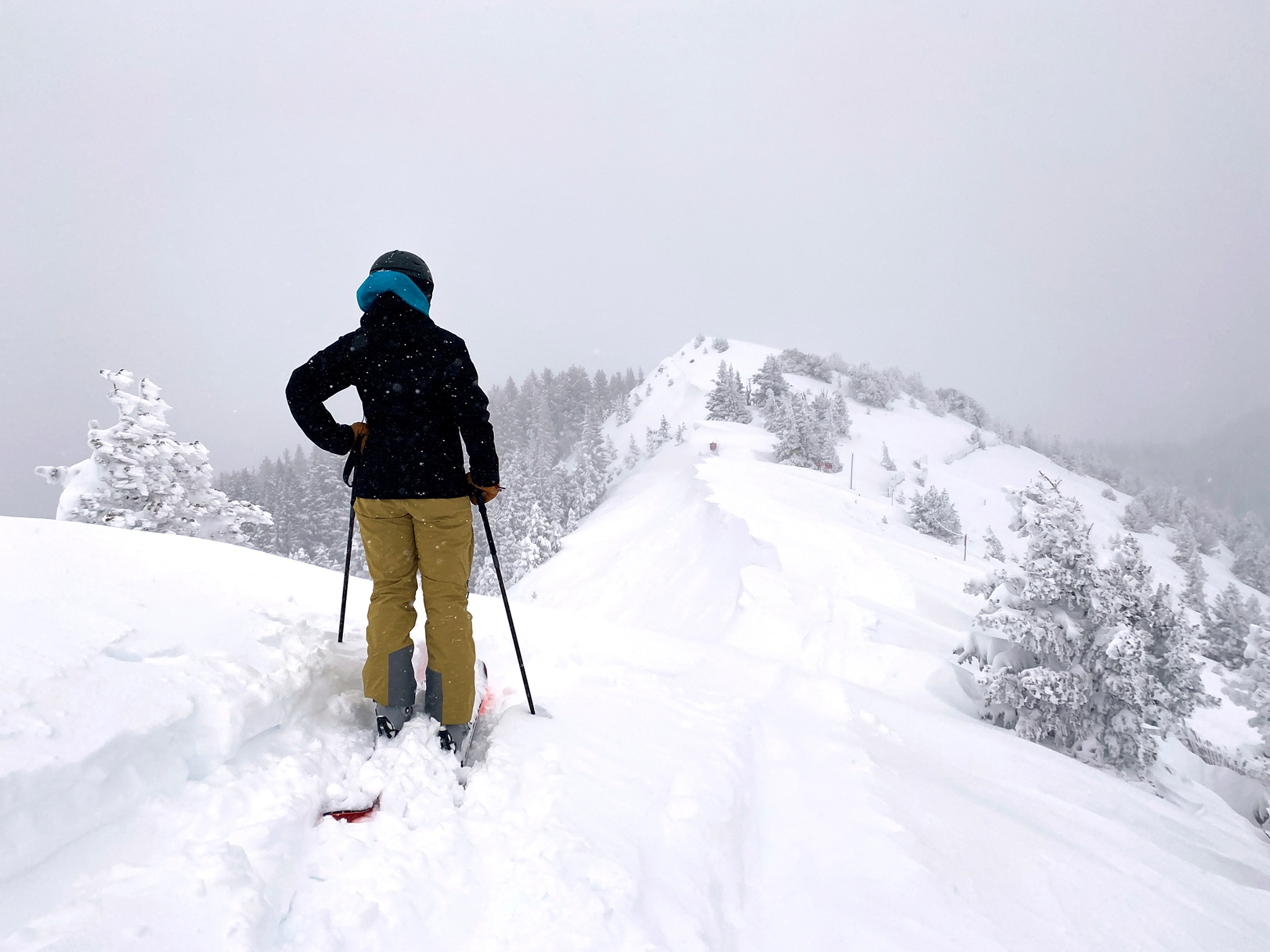 snowy, Taos