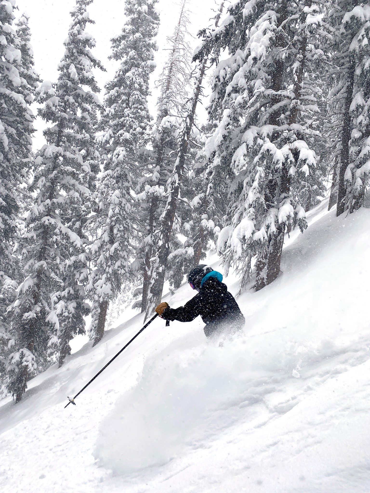deep powder, Taos