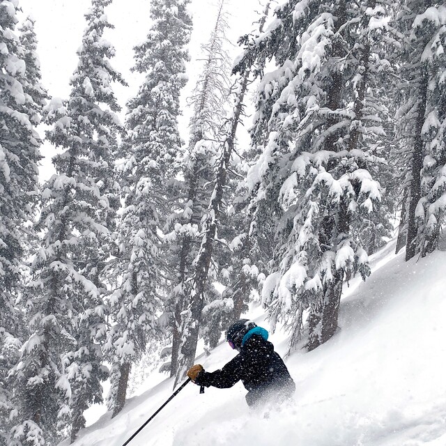 deep powder, Taos