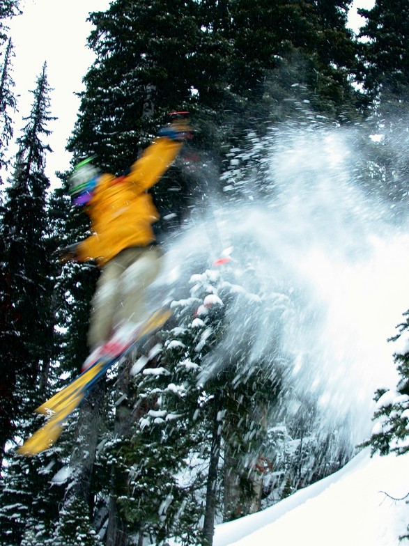Blur in McBride, BC, CMH McBride