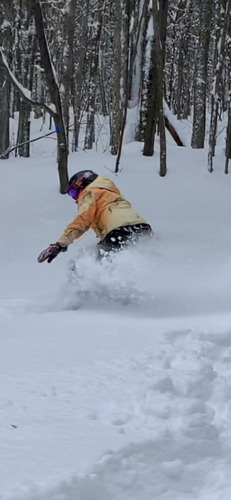 Belleayre Ski Resort by: William  Gibson