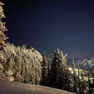 Night Hikes, Stevens Pass