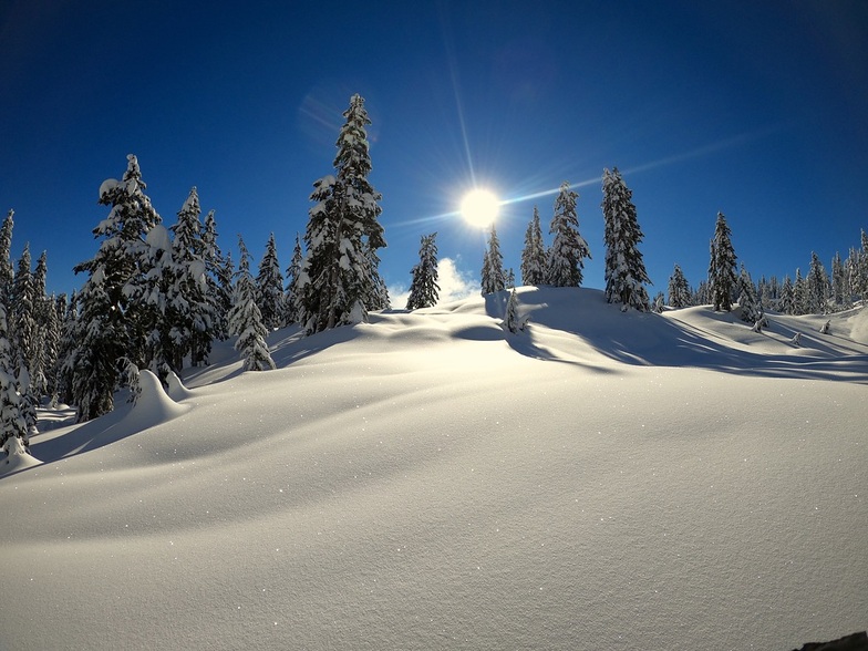 Bluebird magic, Cypress Mountain