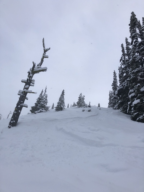 Snag Run, Manning Park Resort