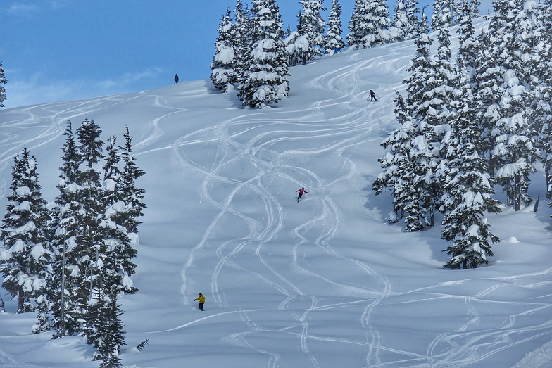 Buttery pow, Shames Mountain