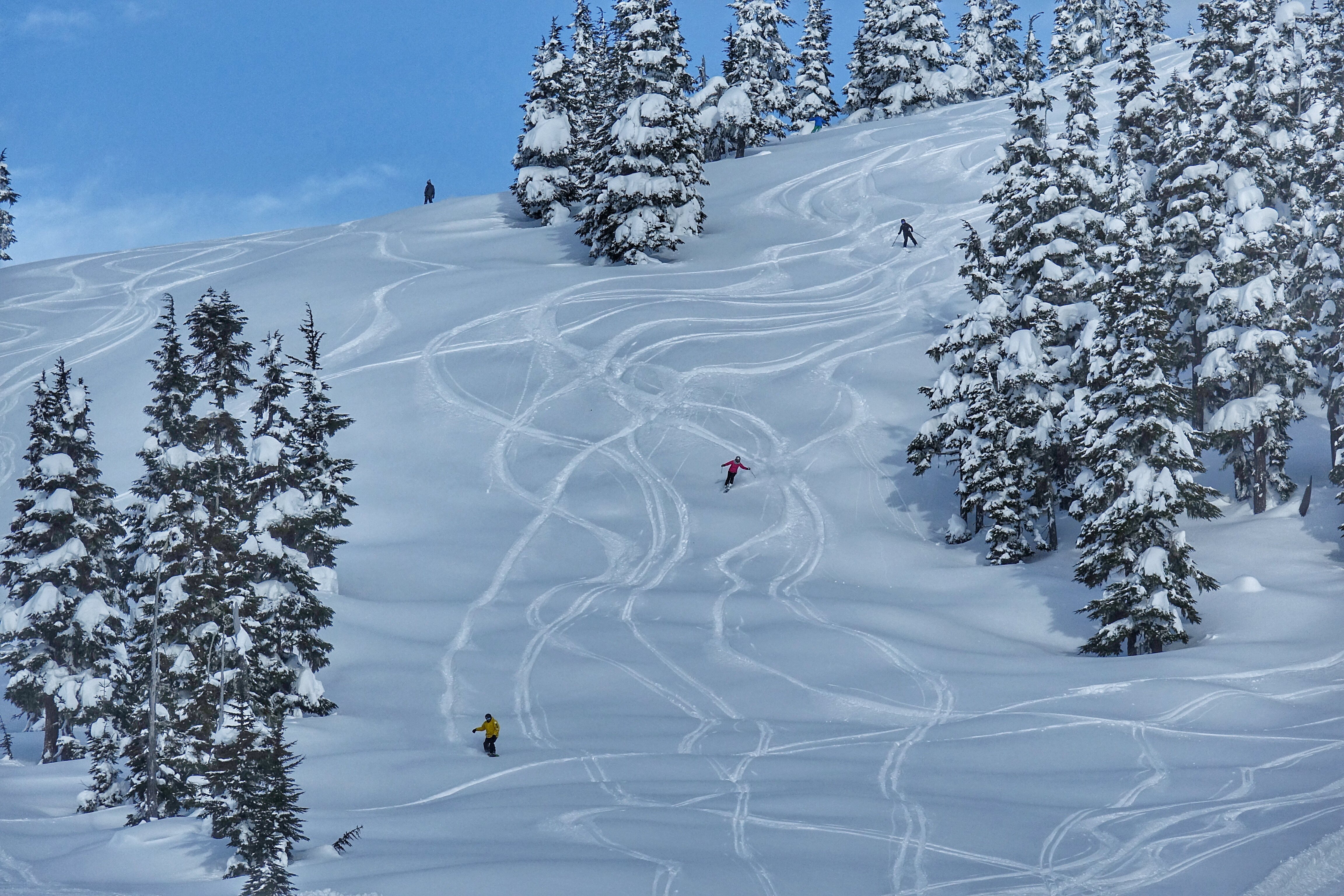 Buttery pow, Shames Mountain