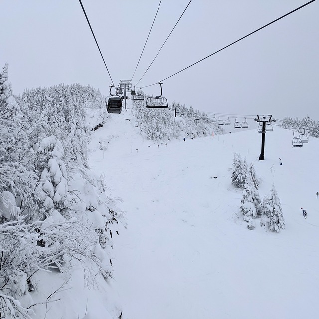 lots of snow, Mont Orford