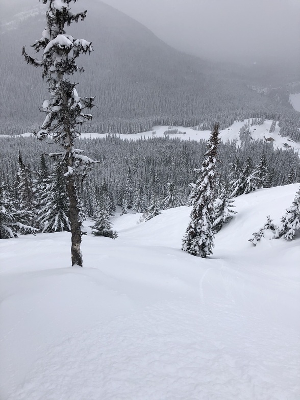 Nobody Here, Manning Park Resort