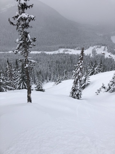 Manning Park Resort Ski Resort by: Charles Wood