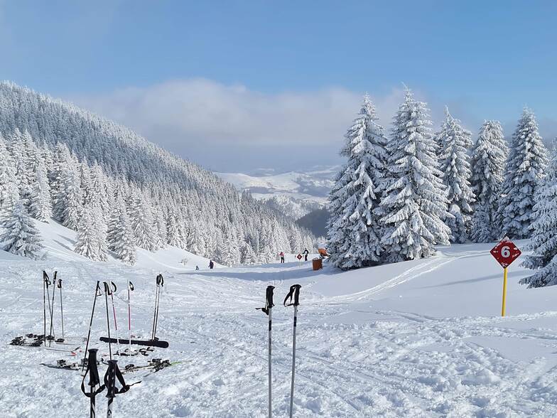 Pajino preslo, Kopaonik