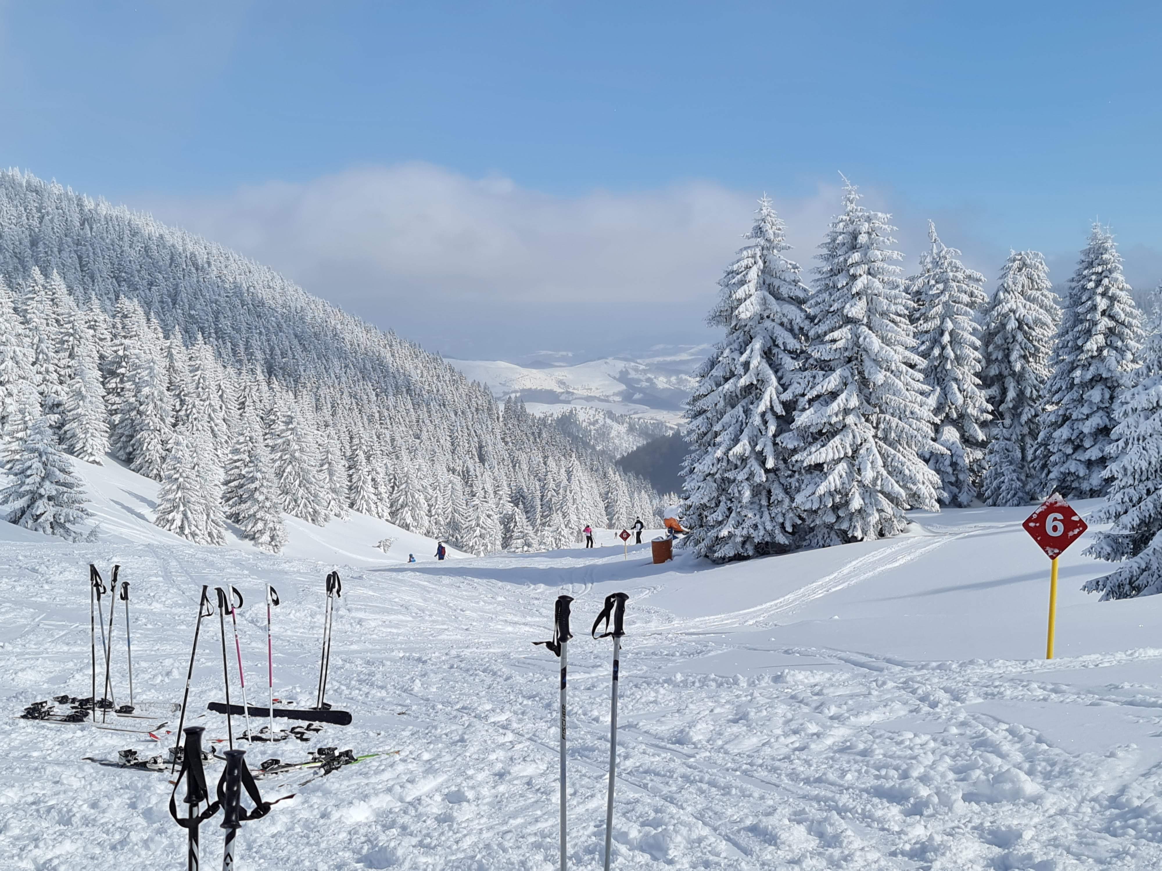 Pajino preslo, Kopaonik