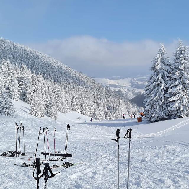 Kopaonik Snow: Pajino preslo