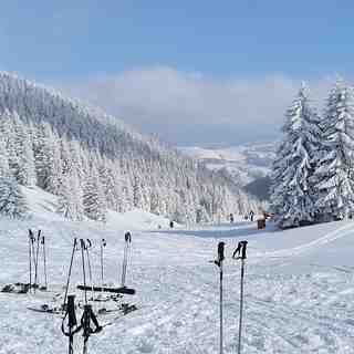 Pajino preslo, Kopaonik