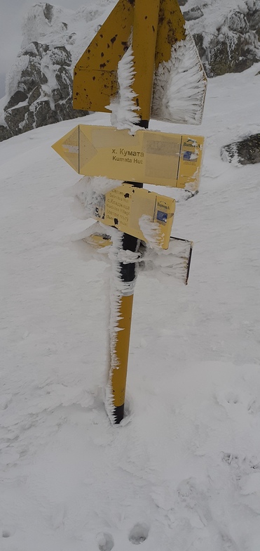 На черни връх, Vitosha