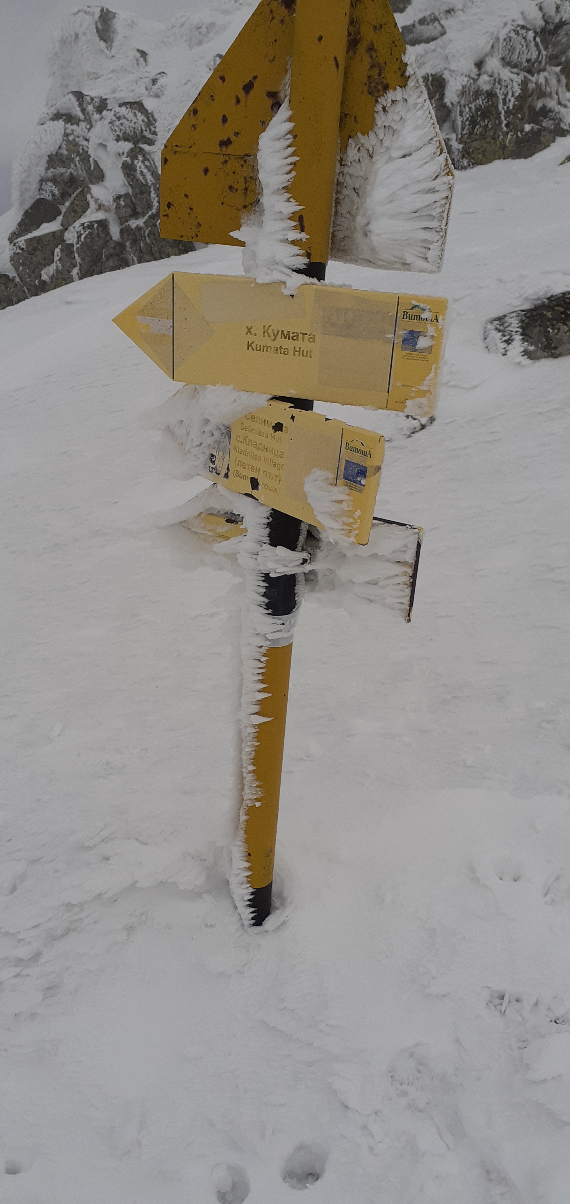 На черни връх, Vitosha