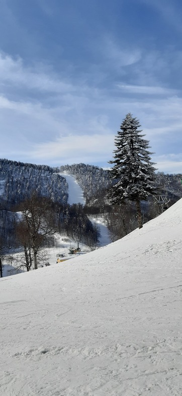 Piste giriş, Kartepe