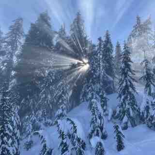 Rays of Sun on Trumpeter, Cypress Mountain
