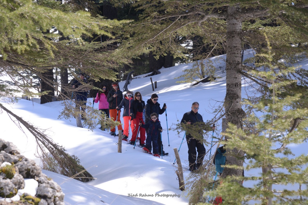 SNOWSHOEING THE ANCIENT GIANT TREES @ CEDARS OF GOD