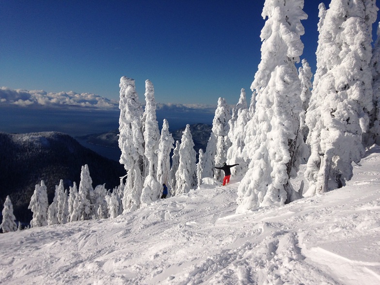 Caked Fun, Cypress Mountain
