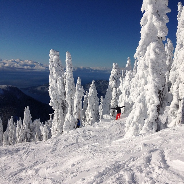 Cypress Mountain Snow: Caked Fun