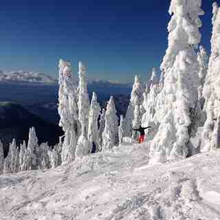 Caked Fun, Cypress Mountain