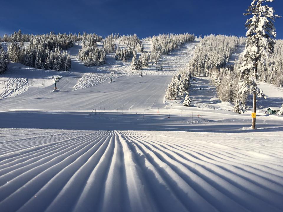 Corduroy, Loup Loup