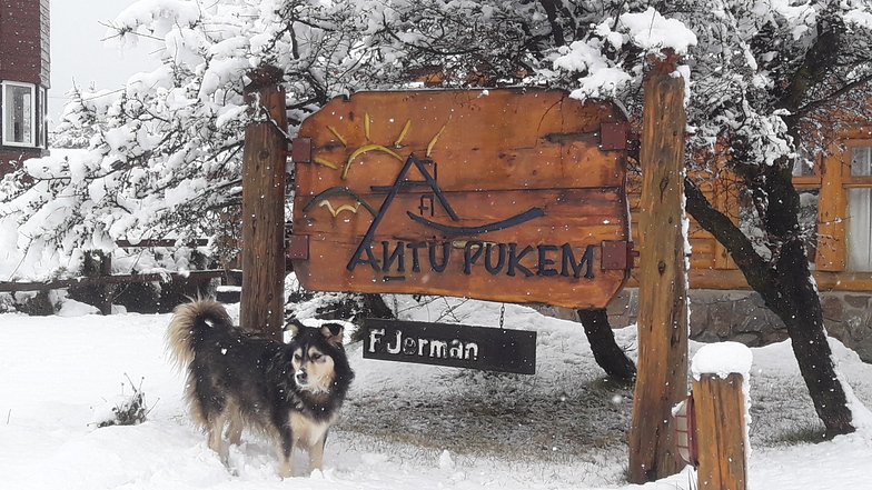 Perro Manu, Cerro Catedral