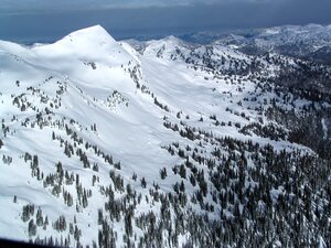 Tsuius Mountain, Monashee Powder Snowcats photo