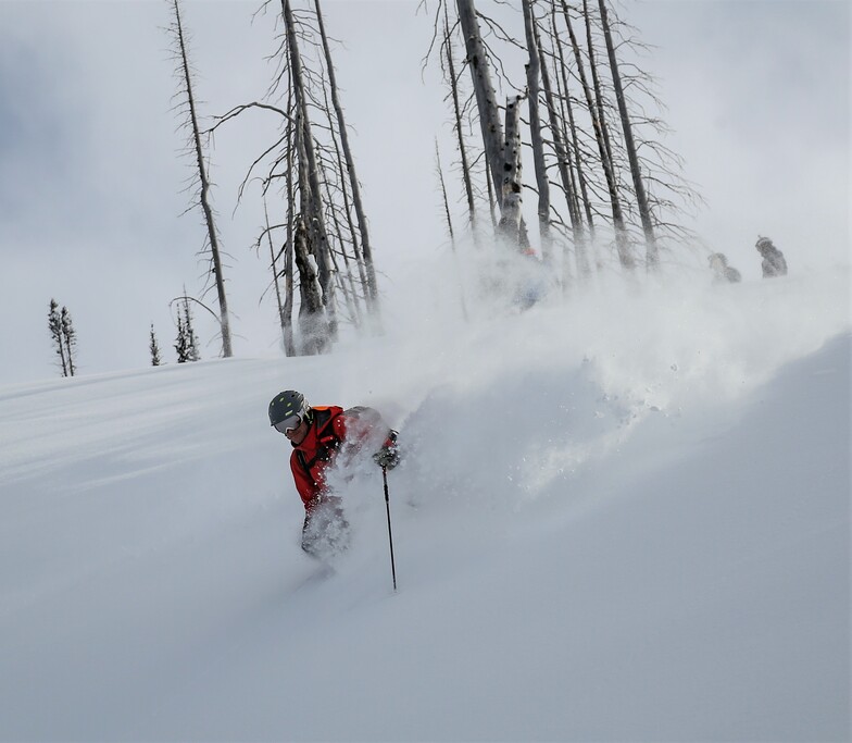 Guide gets first tracks, always!, Monashee Powder Snowcats