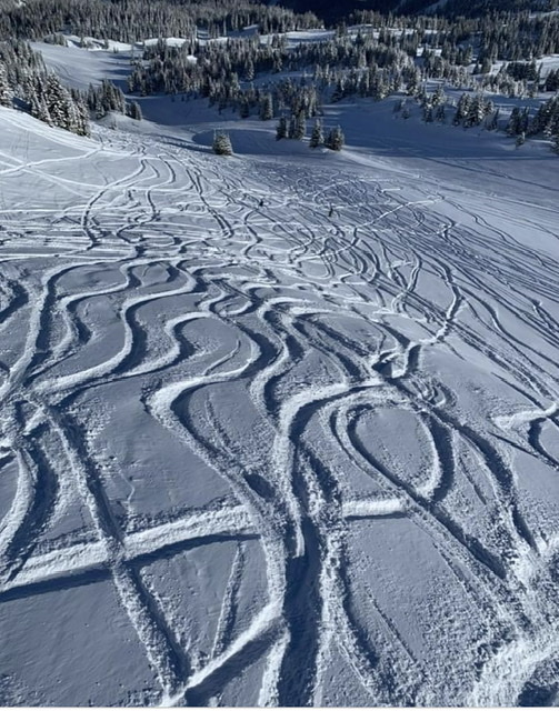 Early morning tracks, Sunshine Village