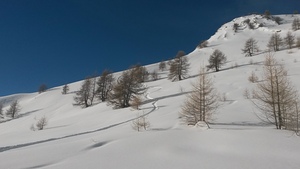 Petit domaine, grands espaces, Sainte Anne La Condamine photo