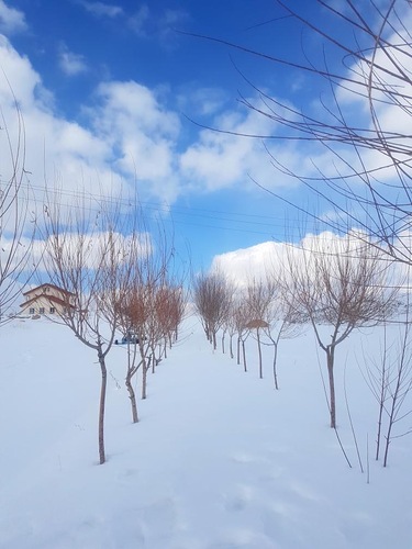 Pooladkaf Ski Resort Ski Resort by: Asghar  Zarifkar