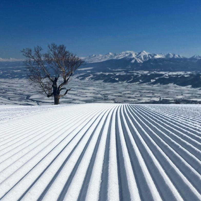 March is groomer season, Furano