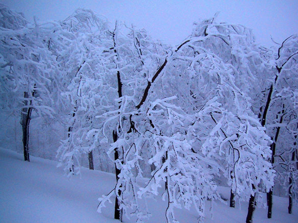 Steamboat, CO