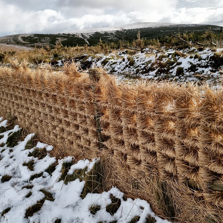 Storm Arwen in the Preseli hills, Foel Cwmcerwyn