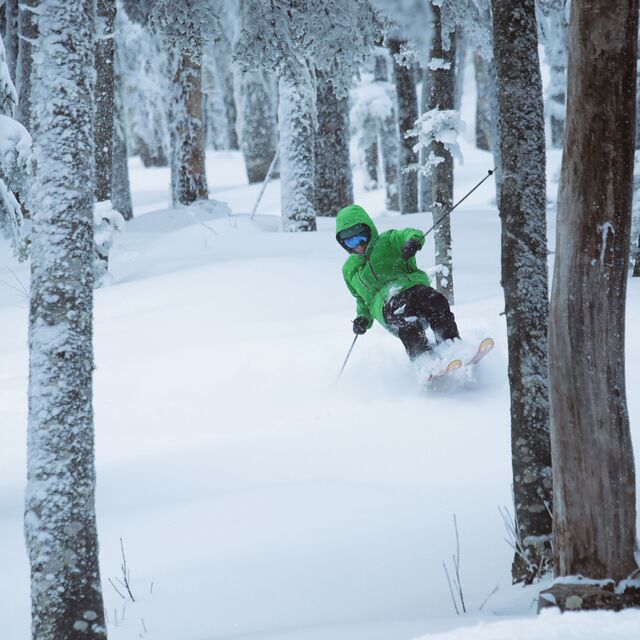 Nos sous-bois, Le Massif du Sud