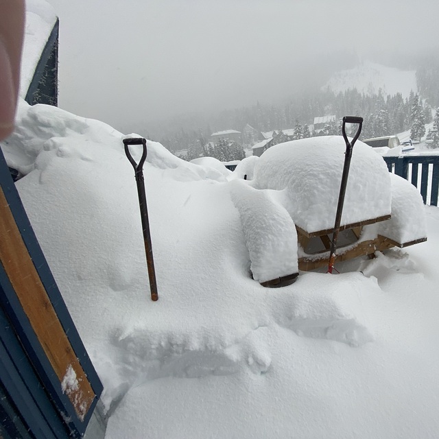 Sasquatch Mountain Resort Snow: Snow 