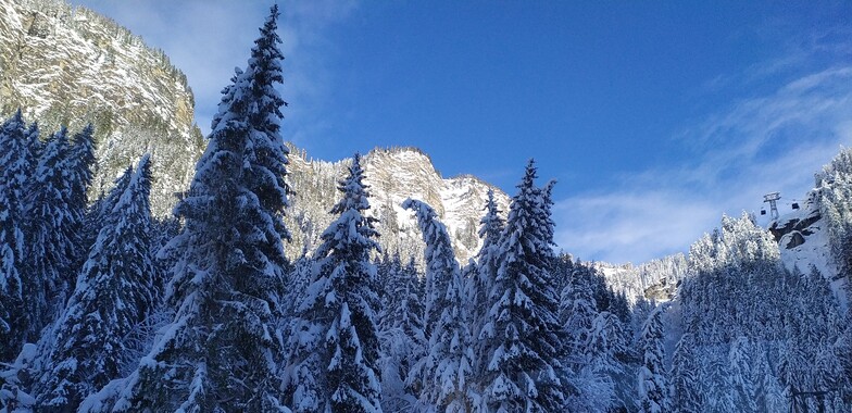 Prodains, Avoriaz