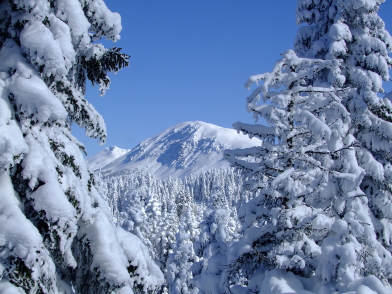 Ilgaz Dagı, Mt Ilgaz