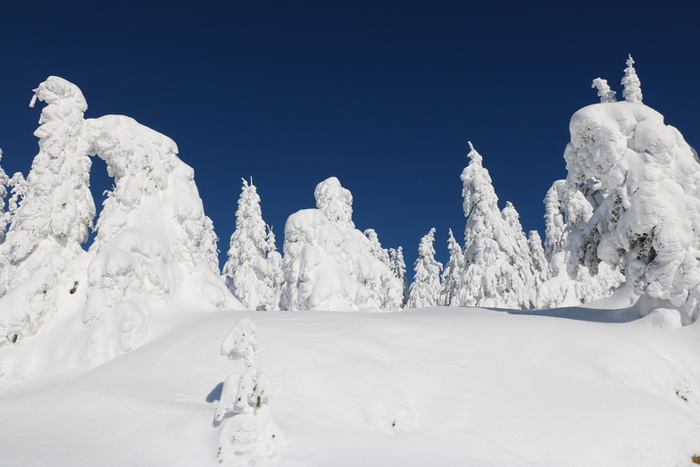 Ilgaz Dağı Doruk, Mt Ilgaz