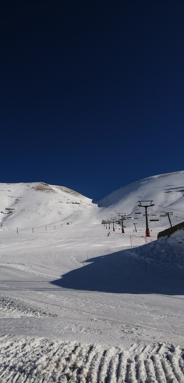 L'equip terrace, Cedars