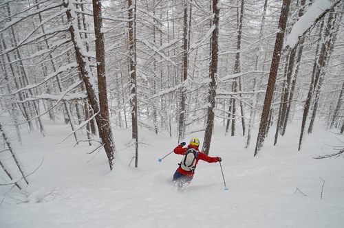 San Sicario (Via Lattea) Ski Resort by: Claudia Giovannini