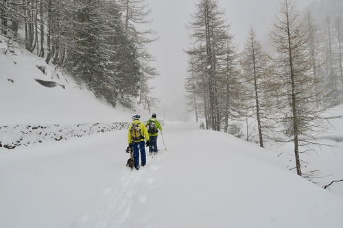 Saint Rhemy-Crevacol Ski Resort by: Claudia Giovannini