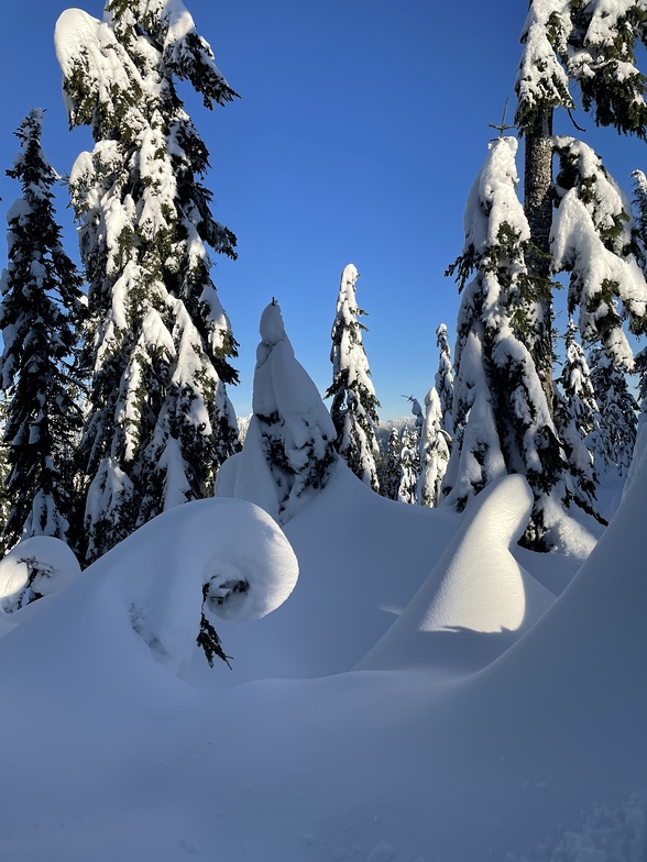 Bluebird Day, Cypress Mountain