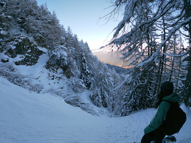 Sinaia freeride