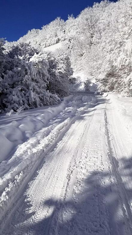 Ай Петри, Rosa Khutor