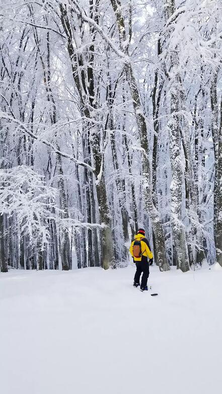 Ай Петри, Rosa Khutor