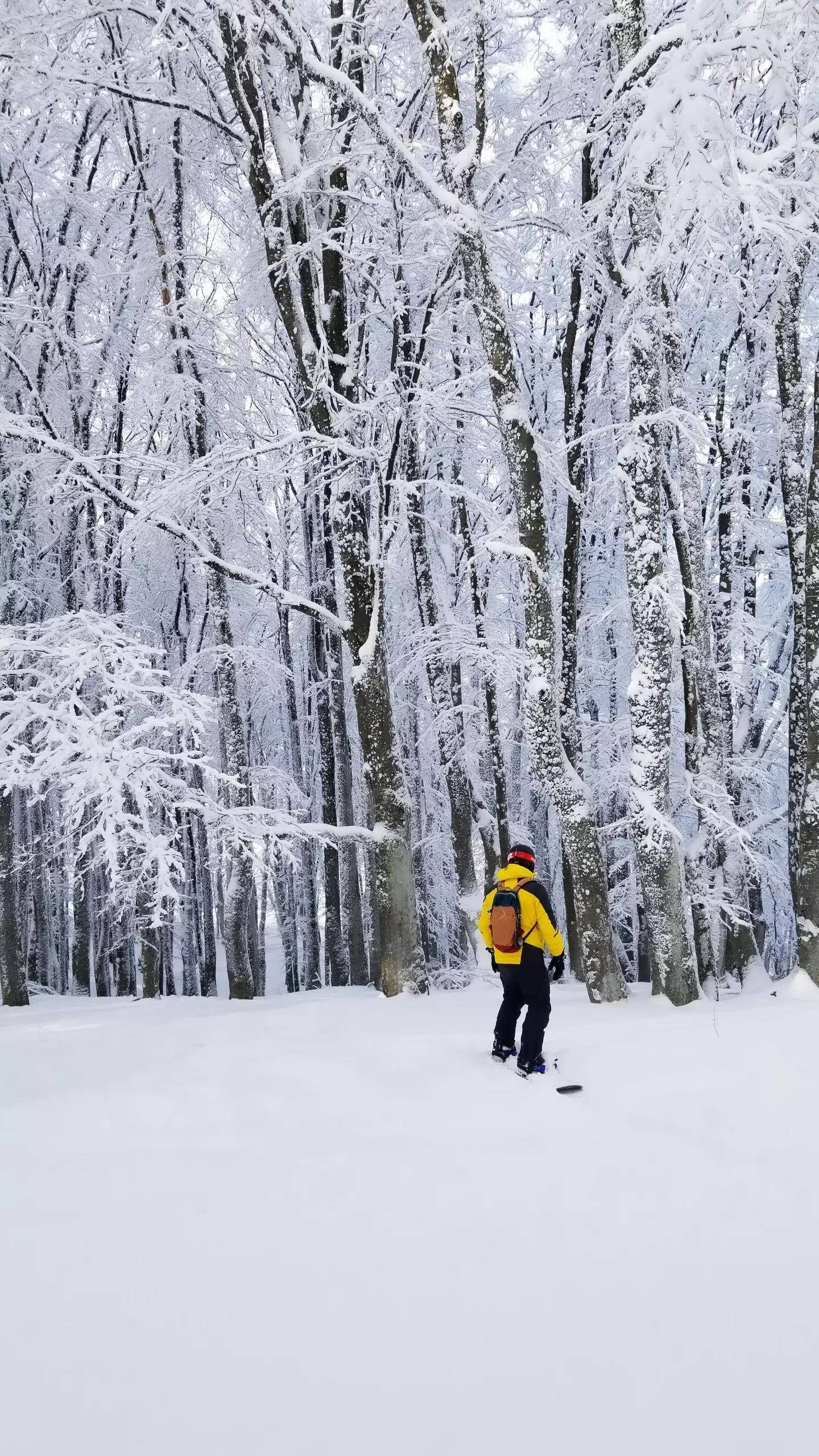 Ай Петри, Rosa Khutor